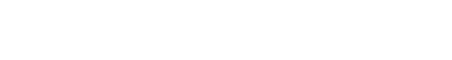 Custom Software Clients